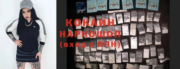 метадон Каменка