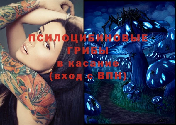 гашиш Абаза