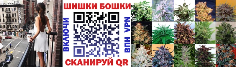 закладки  Власиха  Бошки Шишки тримм 